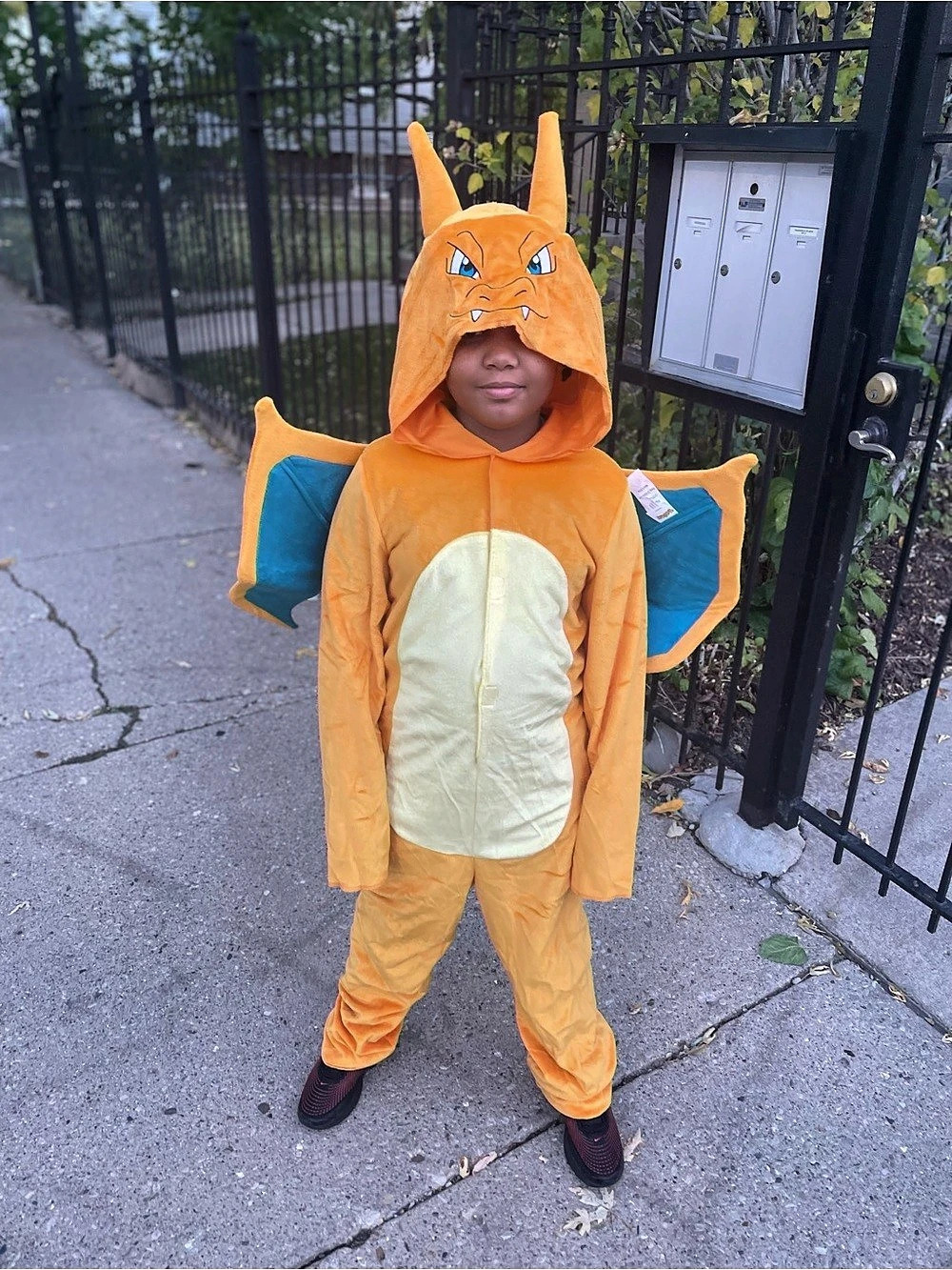 Pokemon Charizard Kids Halloween Costume